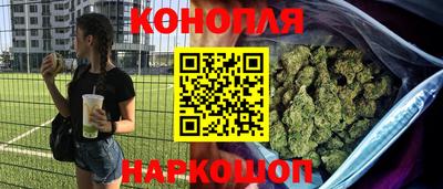 шишки Малгобек