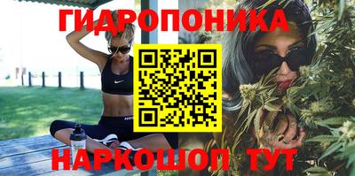 шишки Малгобек