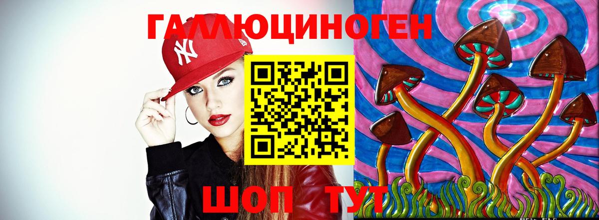 Галлюциногенные грибы GOLDEN TEACHER  Вход с VPN  Десногорск 