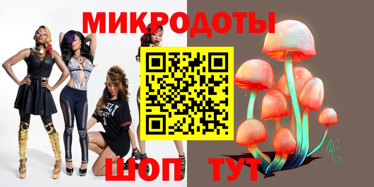 Псилоцибиновые грибы Psilocybine cubensis Десногорск